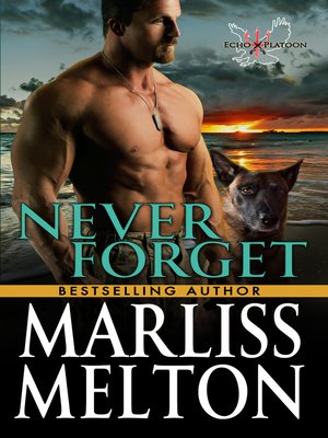 cover image of Never Forget